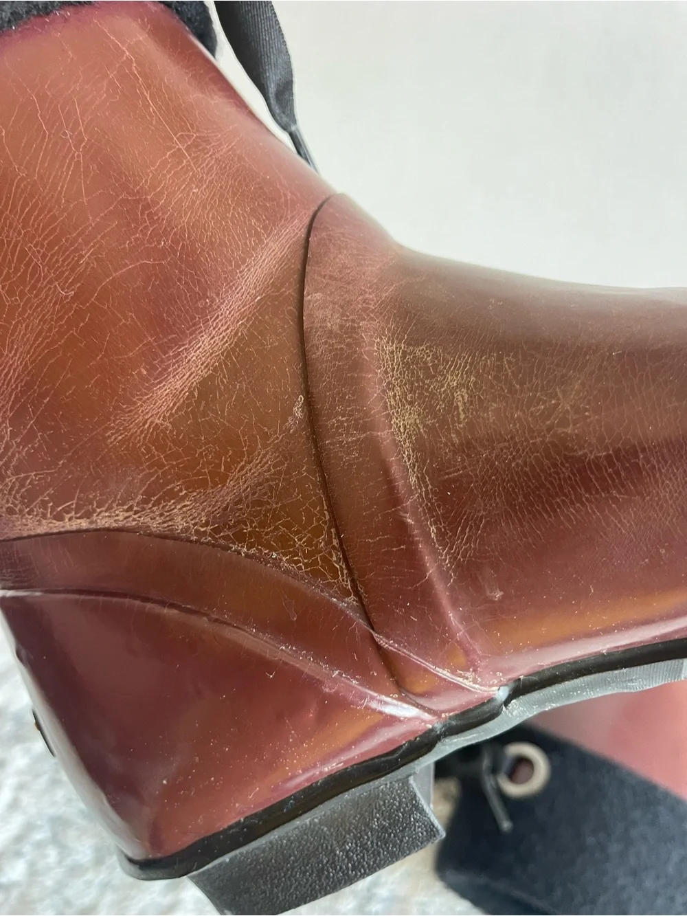Bogs becca solids